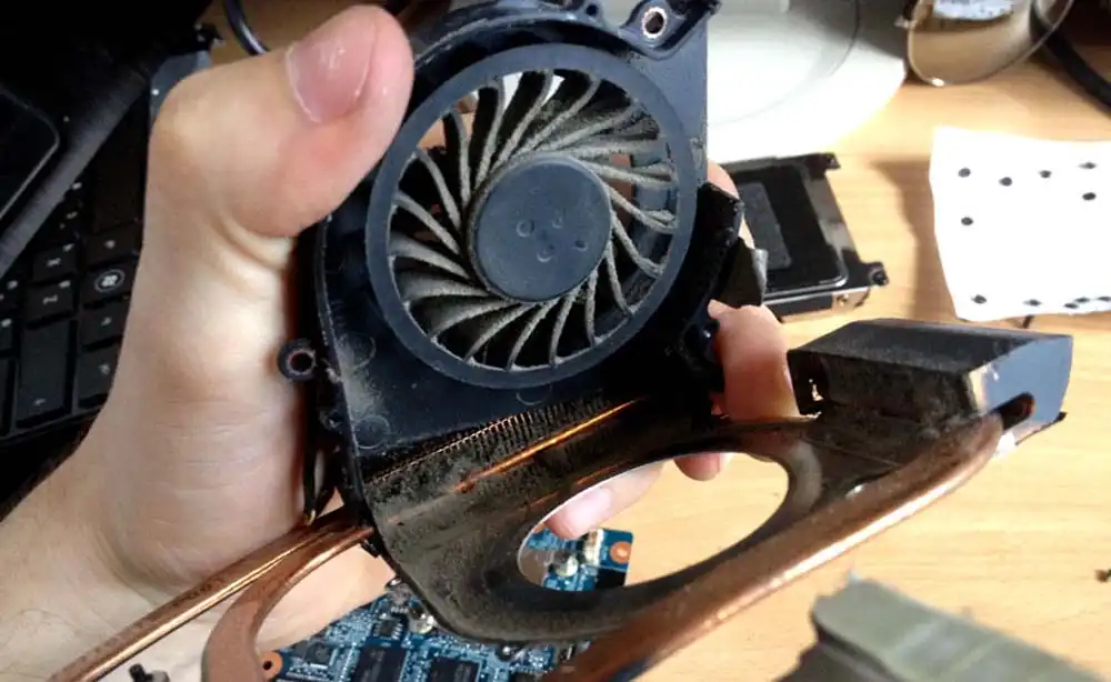 Чистка ноутбука HP от пыли во Всеволожске | Замена термопасты