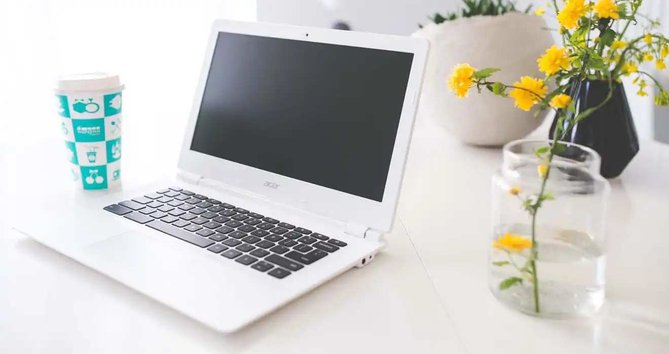 Ремонт ноутбуков Acer во Всеволожске
