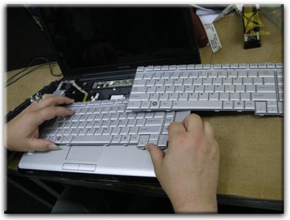 Ремонт клавиатуры на ноутбуке Toshiba во Всеволожске